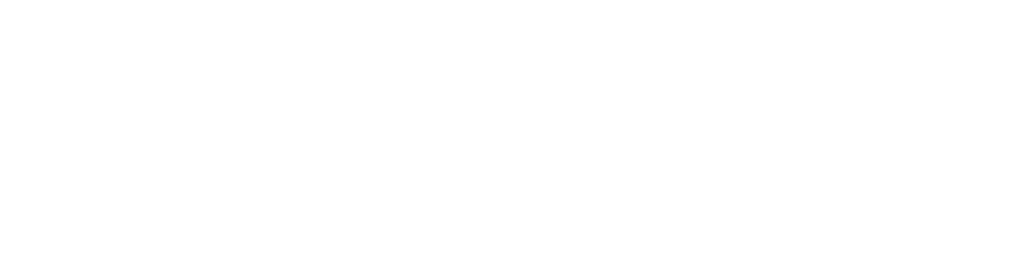 XONN.de Logo white
